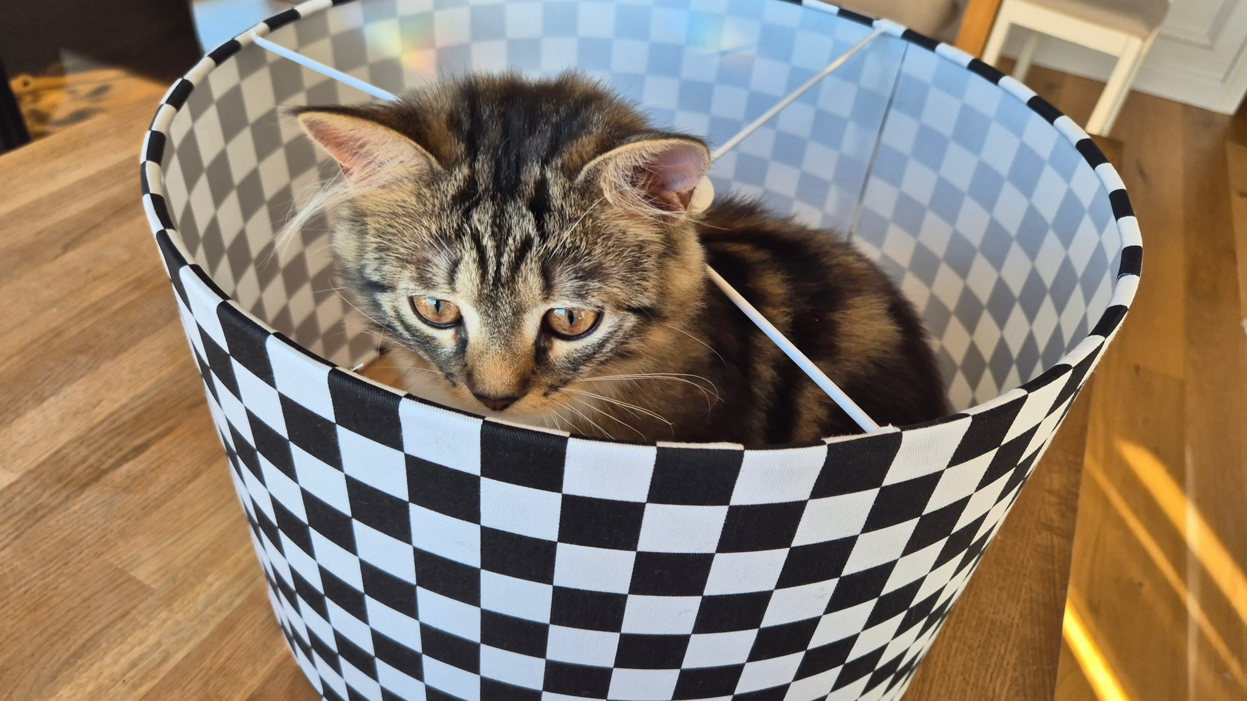 diy lampshade making
